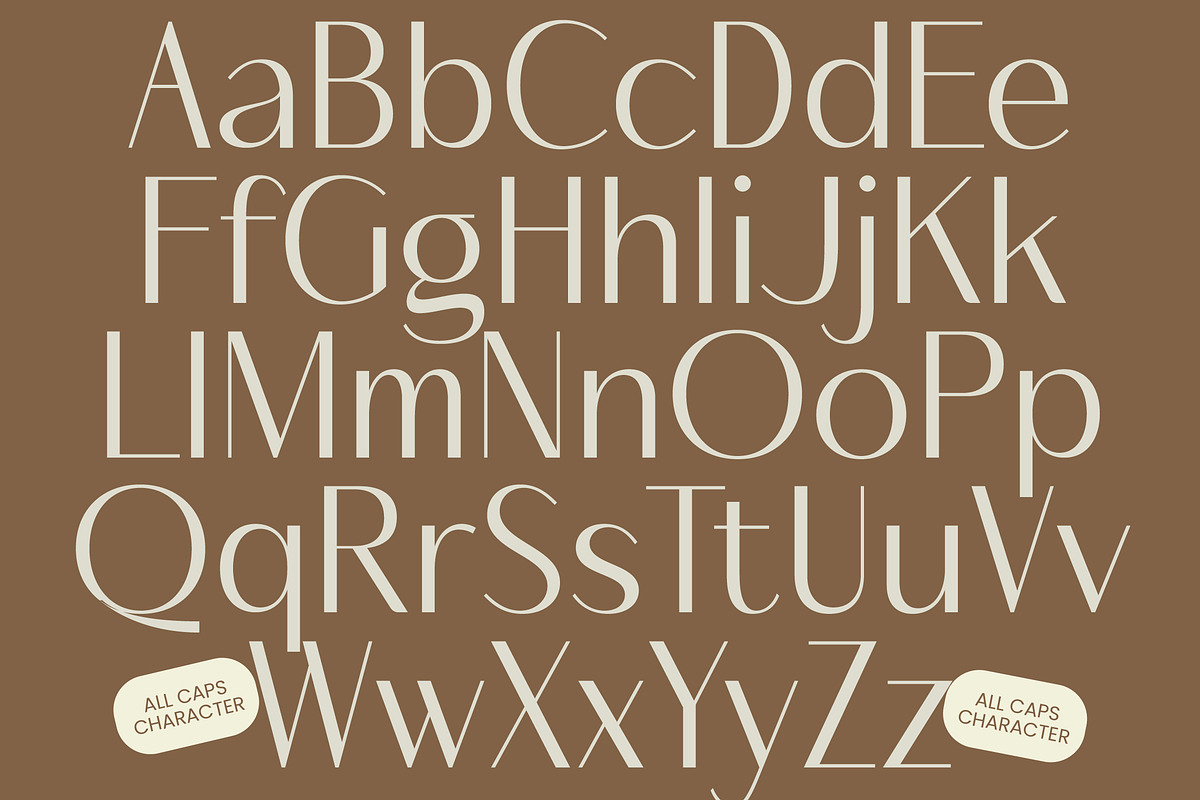 Mozani Elegant Sans Serif Font, a Sans Serif Font by timelesstype.co (Photo 15 of 20)