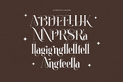 Angilia Elegant Ligature Serif Font, a Serif Font by Perfectype (Thumbnail 9 of 9)