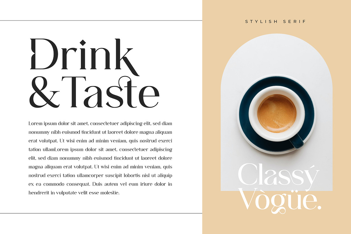 Classy Vogue - Stylish Serif, a Serif Font by Variatype (Photo 9 of 16)