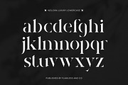 Neilora - Elegant Stencil Serif Font, a Serif Font by Flawless And Co (Thumbnail 7 of 10)