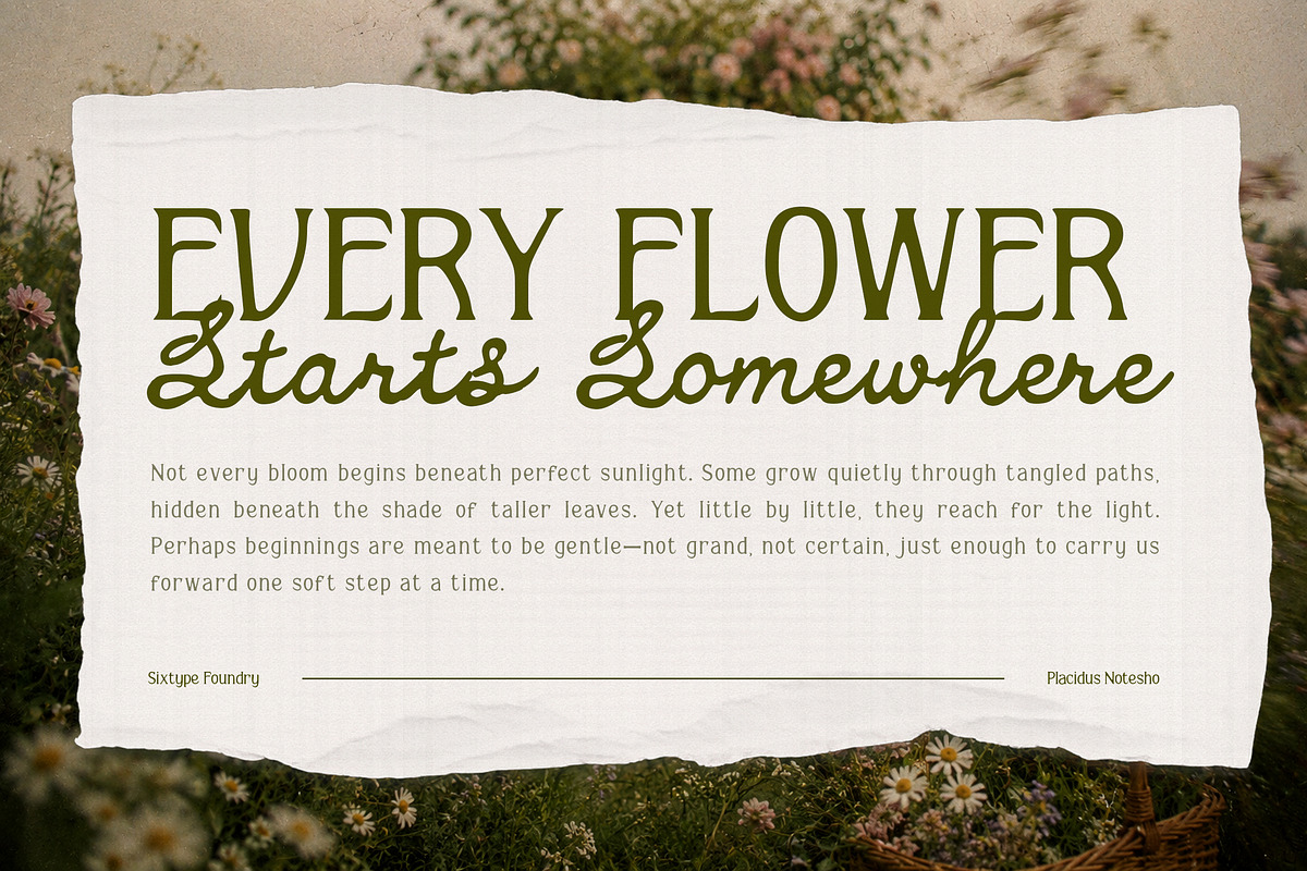 Placidus Notesho Retro Whimsical, a Handwritten Font by Sixtype (Photo 2 of 10)