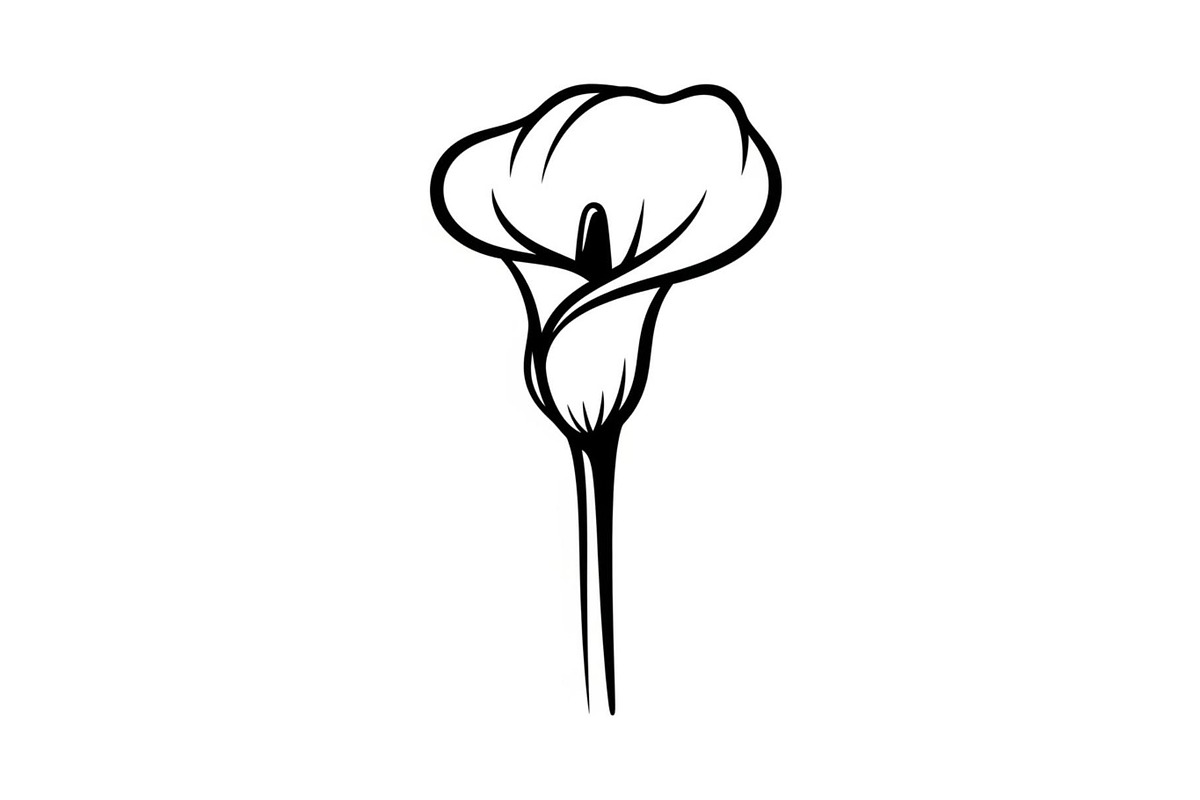 Black Lily Flower Vector Bundle, an Illustration by Designs_River (Photo 17 of 51)