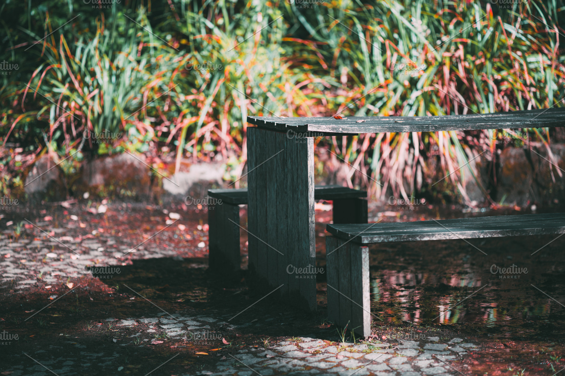 Wet picnic table in garden, an Architecture Photo by SkyNext
