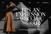 Garnes Unique Serif Font, a Serif Font by Perfectype (Thumbnail 5 of 8)