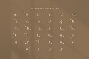 Silkon Elegant Serif Font, a Serif Font by Graphicxell (Thumbnail 8 of 8)