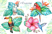 Big tropical bundle, an Illustration by artdreamer (Thumbnail 4 of 10)