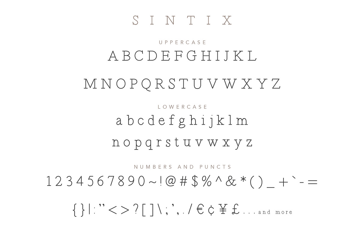 Oh Samantha - Seductive Chic Font, a Script Font by Konstantine Studio (Photo 13 of 14)