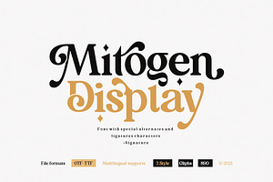 Mitogen Display + Signature, a Serif Font by Areatype