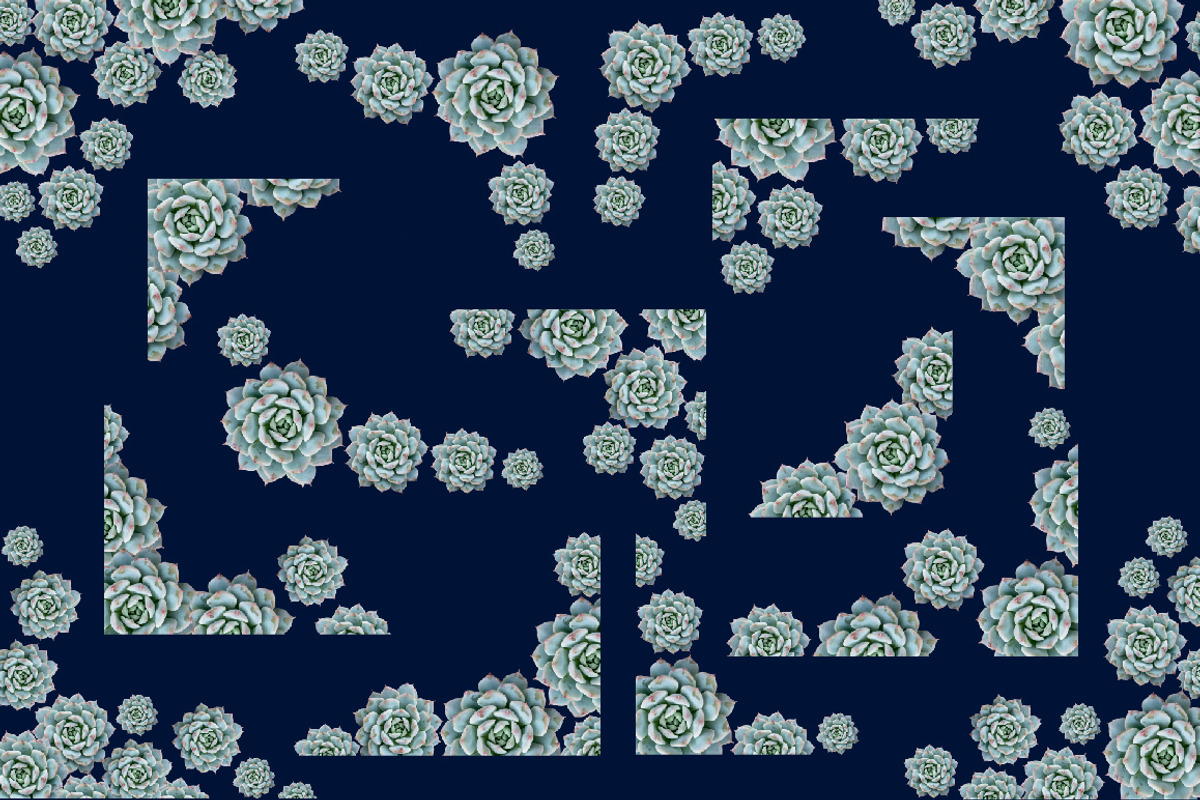 Succulent Borders - Botanic ClipArt, an Object Graphic by Turning Moss (Photo 4 of 5)
