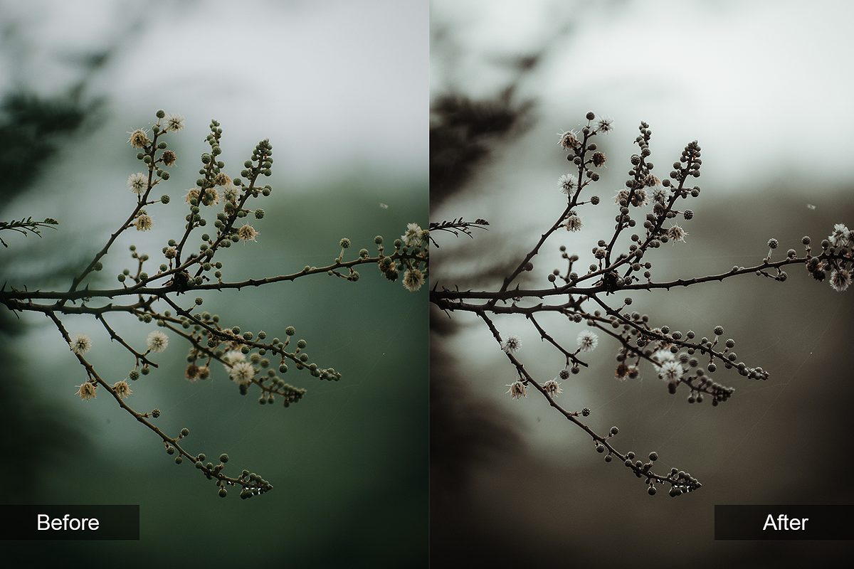 Travel Preset Pack, a Preset Add-On by MadeRed (Photo 12 of 16)