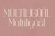 aimstesa stylish serif font, a Serif Font by Storytype Studio (Thumbnail 12 of 15)