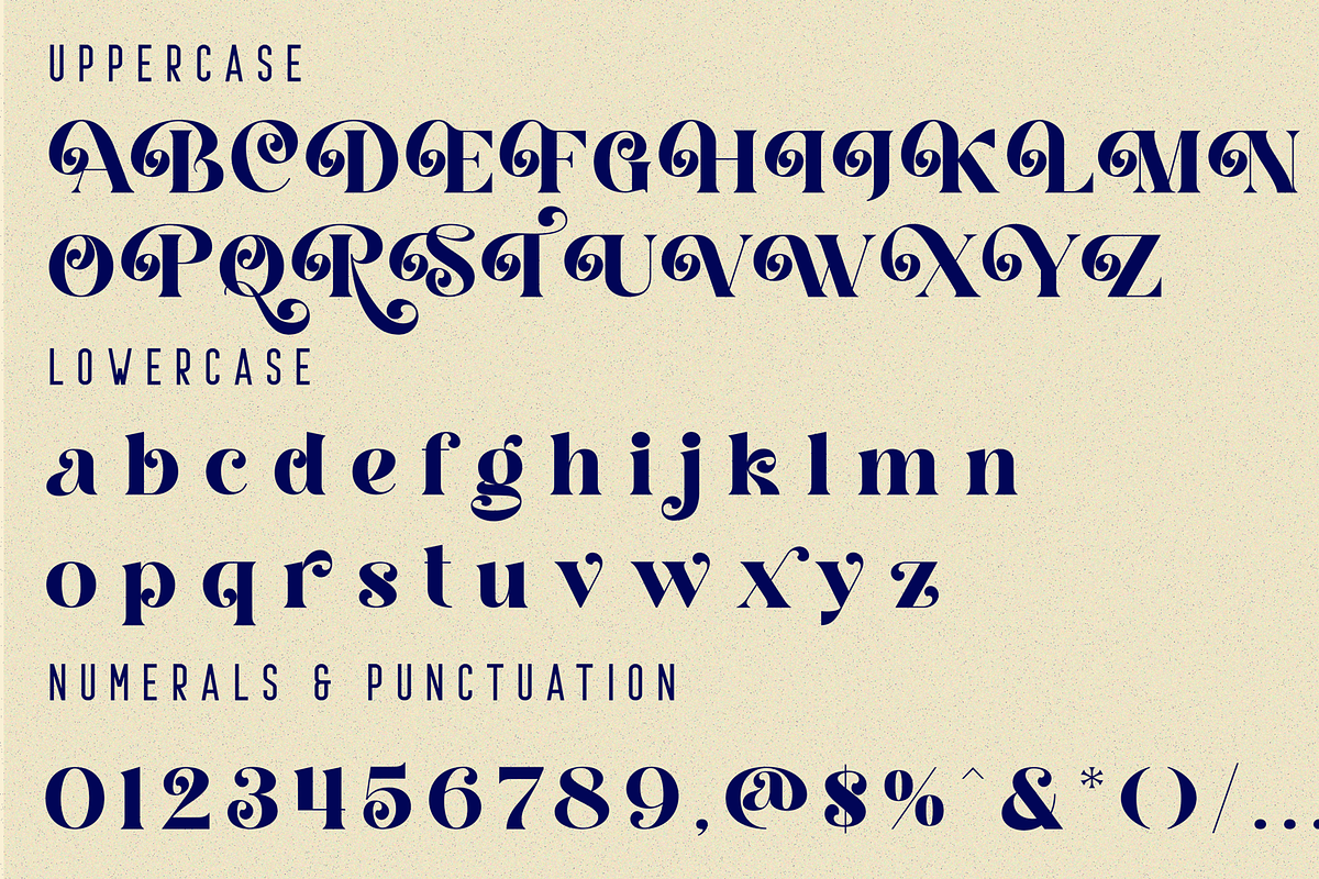 Engaging Realities - Ligature Font, a Serif Font by 177Studio (Photo 8 of 8)