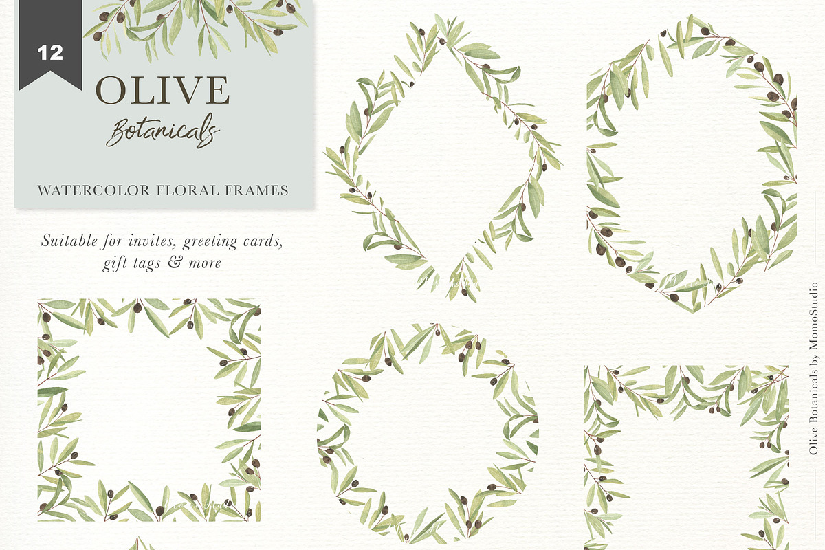OLIVE BOTANICALS Watercolor & Line, a Work Illustration by Momo Studio (Photo 8 of 15)