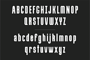 Evolve Sans Serif Display Type, a Font by Kelsey Benedict Design (Thumbnail 6 of 9)