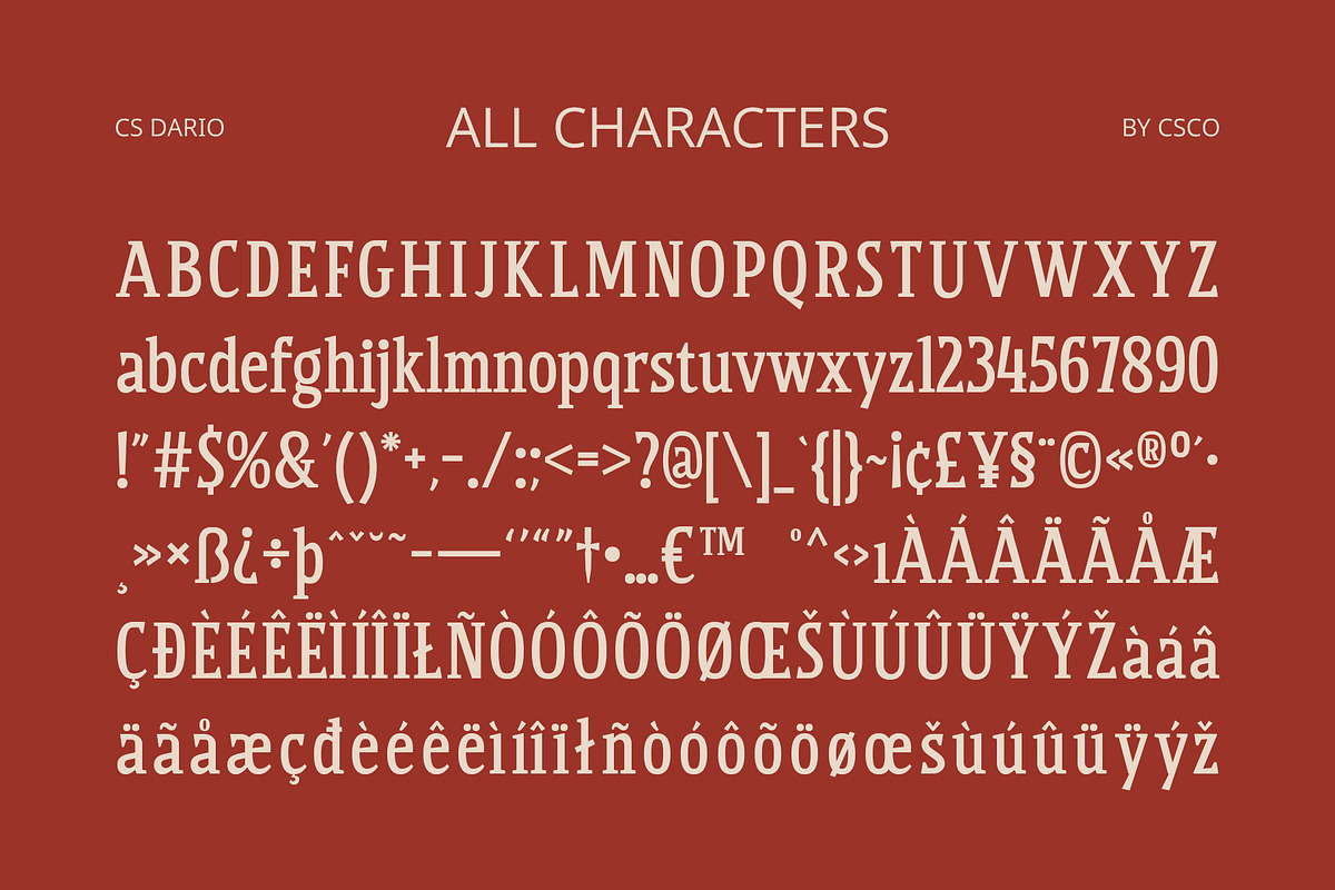 CS Dario – Bold Font, a Serif Font by Craft Supply Co. (Photo 8 of 8)