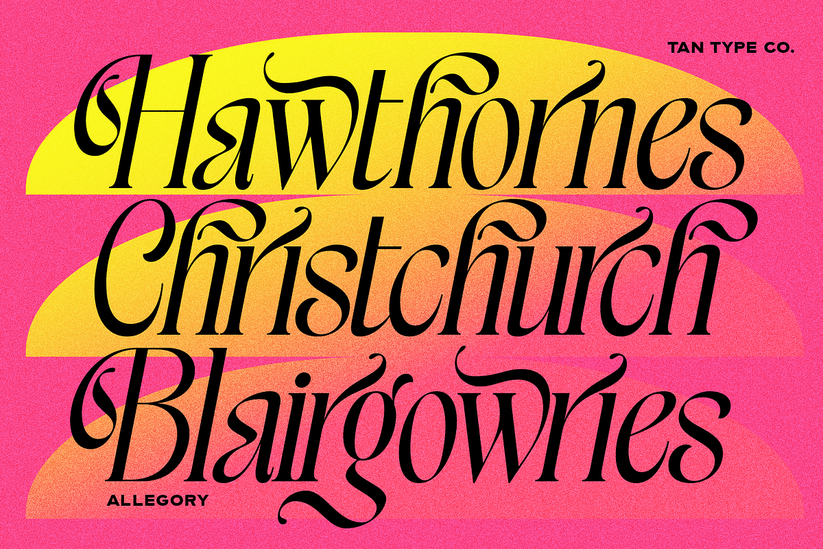 TAN - ALLEGORY, DUO FONT, a Serif Font by TanType (Photo 3 of 10)