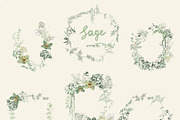 Sage Floral Illustrations, an Object Graphic by whiteheartdesign (Thumbnail 3 of 14)