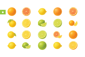 Colorful Citrus Fruit Collection, an Object Graphic by RT Studio