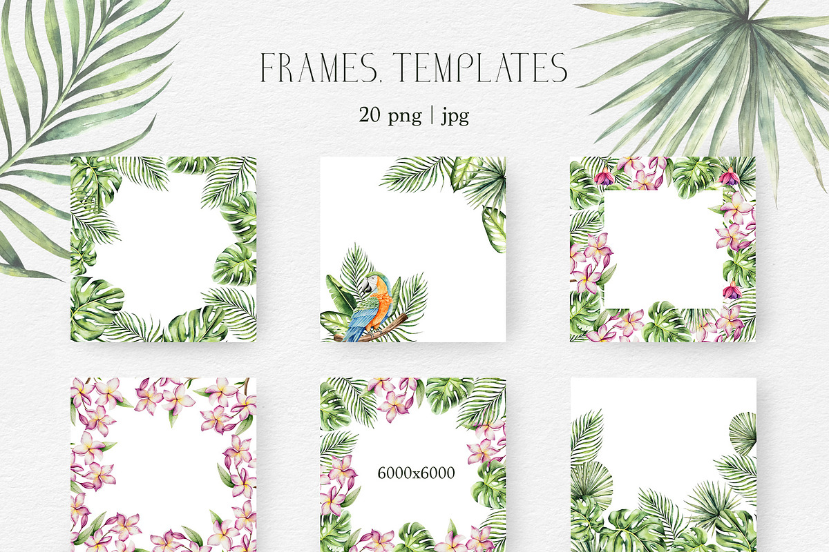 TROPICAL FOREST - Watercolor set, an Animal Illustration by Navenzeles (Photo 6 of 16)