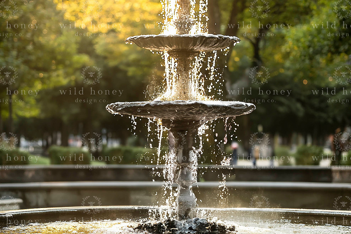 Fountain Digital Backdrop, a Layer Style Add-On by Wild Honey Design Co. (Photo 2 of 2)