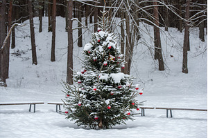 Christmas tree was decorated with, a Holiday Photo by COLORFUL