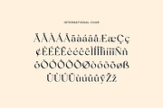 Silvania Modern Serif Font, a Serif Font by UICreative (Thumbnail 6 of 12)