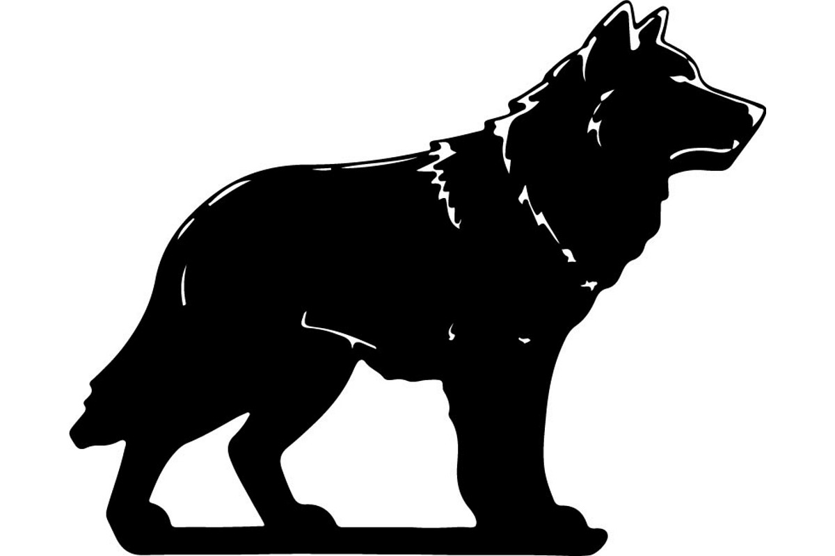 Premium Alpha Wolf Illustration, an Animal Illustration by Designer_Momina (Photo 6 of 18)