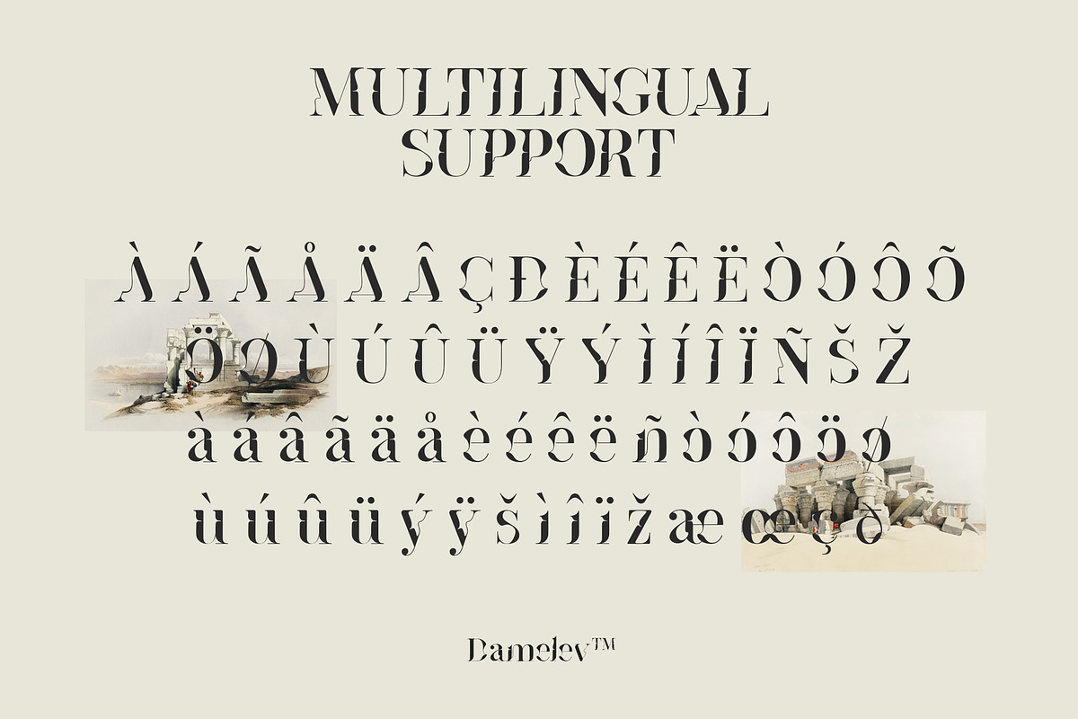 Broger Display, a Serif Font by Damelev (Photo 10 of 10)