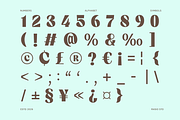 Candeur Modern Editorial Serif Font, a Serif Font by Rasio Studio (Thumbnail 3 of 9)