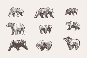 Set Of Sketches Of Walking Bears