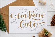 ChrisMaster - Script with Extras, a Script Font by Gilar Studio (Thumbnail 3 of 10)