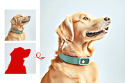 Animal Watercolor Paint Photo Effect, an Action Add-On by Photoshop Action (Thumbnail 2 of 9)