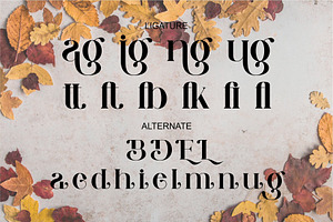 Dieng Unique Ligature Serif Typeface