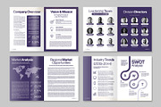 Business Plan Template, a Brochure Template by BrandPacks (Thumbnail 3 of 6)