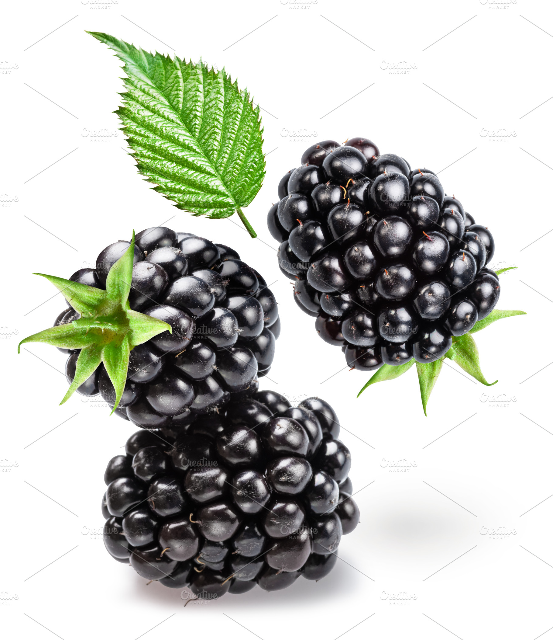 Three blackberries and blackberry leaf levitating on white backg, a Food & Drink Photo by Volff