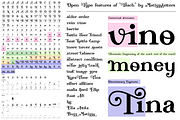 Teach, a Serif Font by Roland Huse Design (Thumbnail 3 of 3)