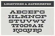 Palm Ridge Midcentury Southwest Font, a Serif Font by Molly Suber Thorpe (Thumbnail 15 of 15)