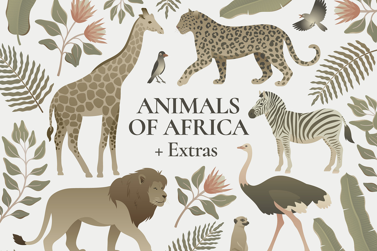 Exotic Animals of Africa Collection, an Object Graphic by Wild and Wonder by Ana (Photo 1 of 4)