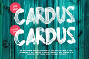 Cardus Brush SVG Font, a Script Font by Graphicfresh (Thumbnail 5 of 7)
