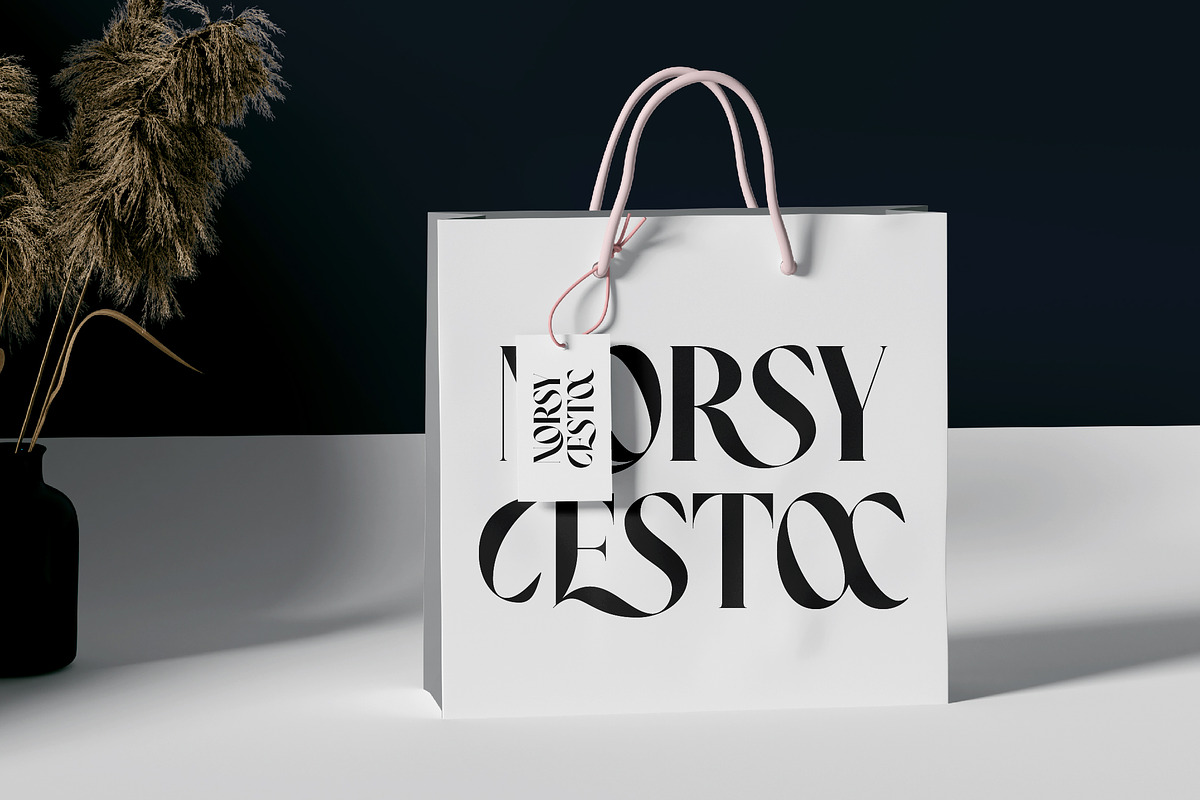 Noresa Modern Editorial Serif, a Serif Font by timelesstype.co (Photo 3 of 20)