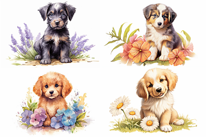 Summer Flower And Cute Puppies