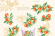 Tangerines Watercolor collection, a Decorative Illustration by SashaKondr (Thumbnail 10 of 14)