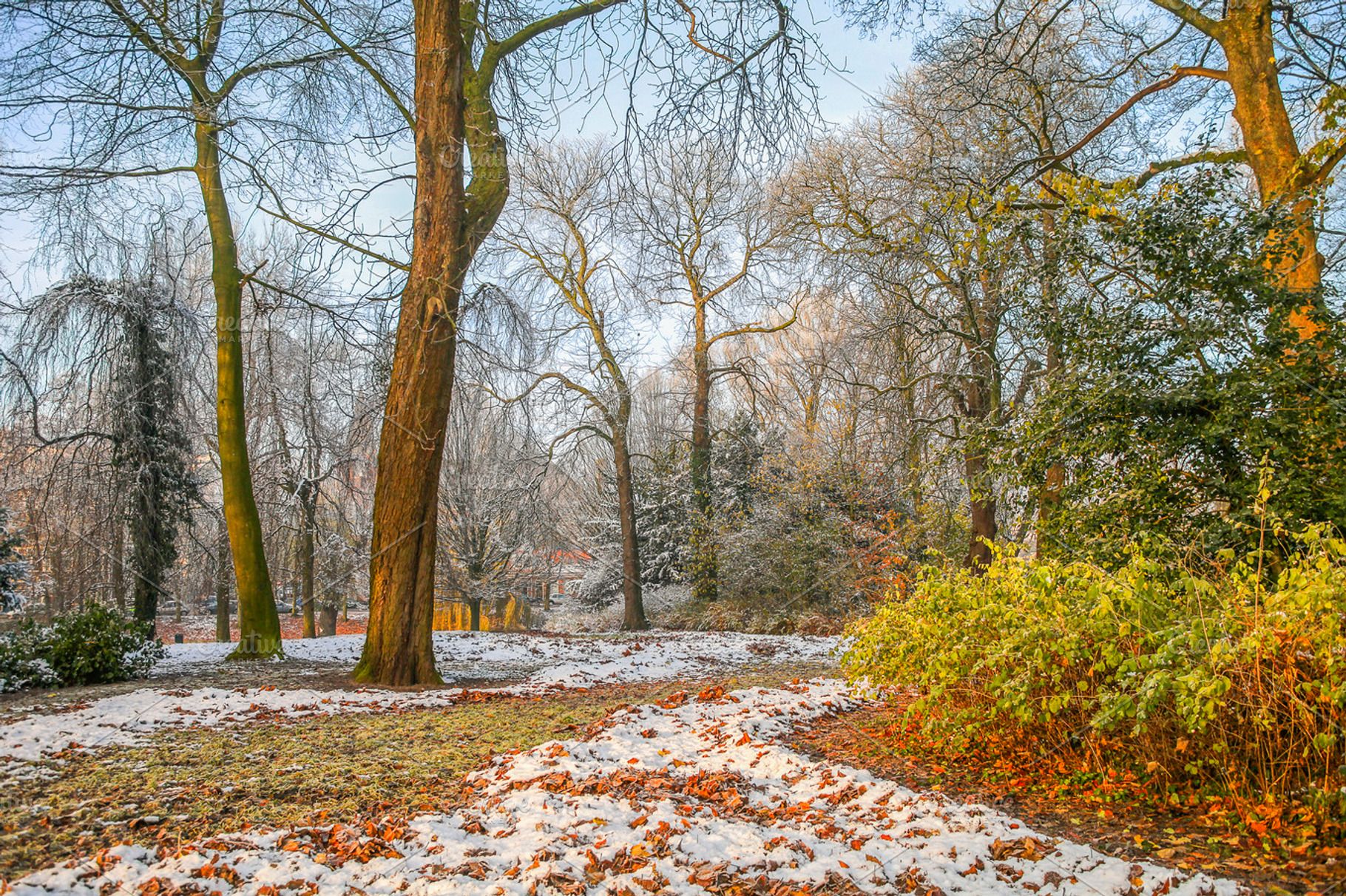 Snow In Autumn Park
