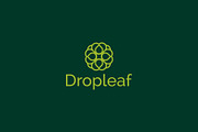 Dropleaf – Modern Nature Logo Design, a Branding & Logo Template by arhabib (Thumbnail 12 of 13)
