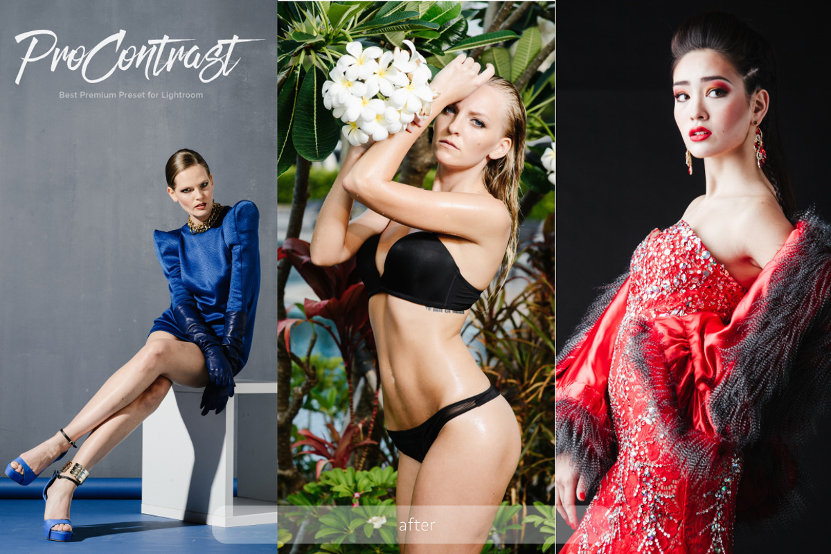 ProContrast preset Lightroom, an Action Add-On by ProPreset (Photo 4 of 4)