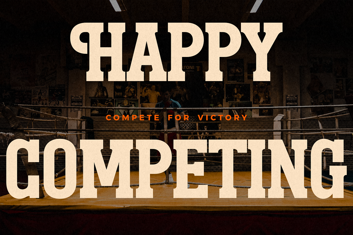 Megolan New Display Sans Serif Font, a Sans Serif Font by Storytype Studio (Photo 8 of 15)