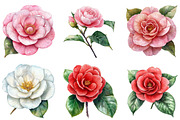 Camellia Flower Bloom PNG Clipart, an Illustration by DreamArtGraphic (Thumbnail 4 of 5)