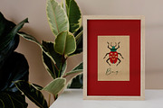 Folk art insects. Beetles collection, a Decorative Illustration by Neliakott ♥ (Thumbnail 2 of 10)