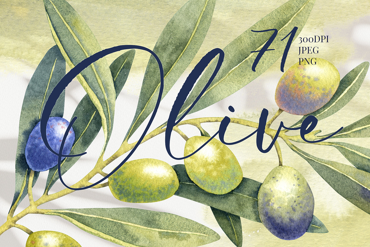 Olive Branches Watercolor Clipart, a Food Illustration by YarovaArt (Photo 1 of 28)