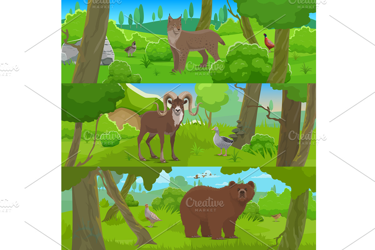 Cartoon wild animals, an Animal Illustration by Vector Tradition